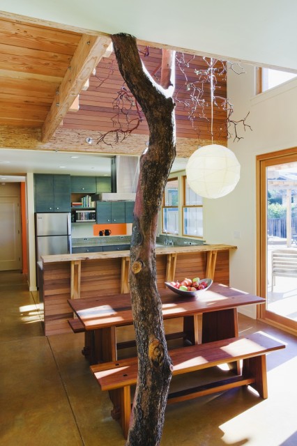 Современный  дизайн  столовой  под  дерево